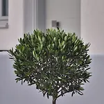 Quartano Luxury Cycladic Residence, Adults Only
