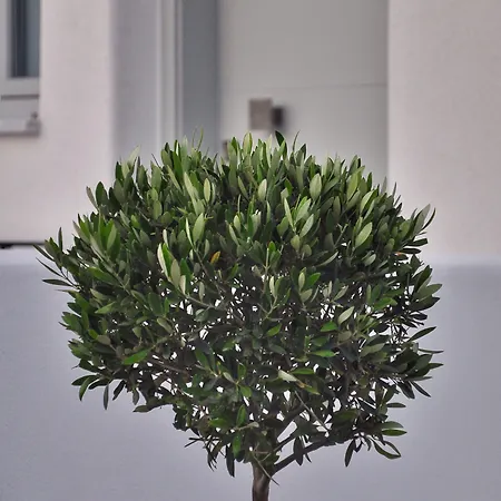 Quartano Luxury Cycladic Residence, Adults Only
