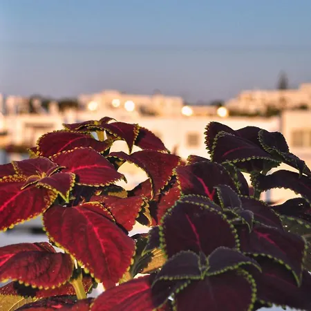 Hotel Quartano Luxury Cycladic Residence, Adults Only