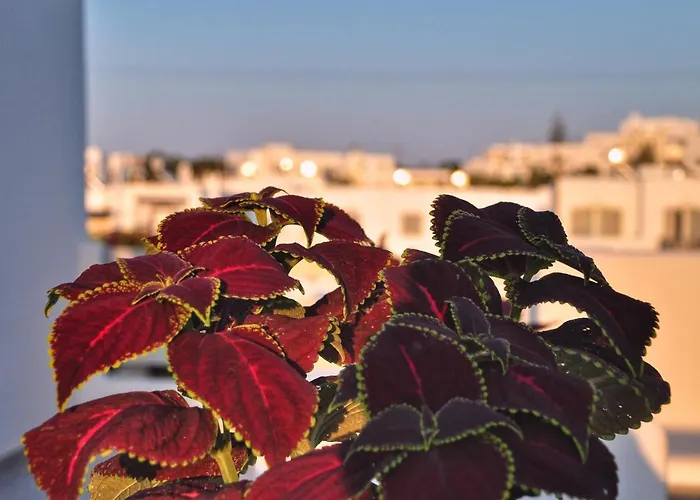 מלון Quartano Luxury Cycladic Residence, Adults Only